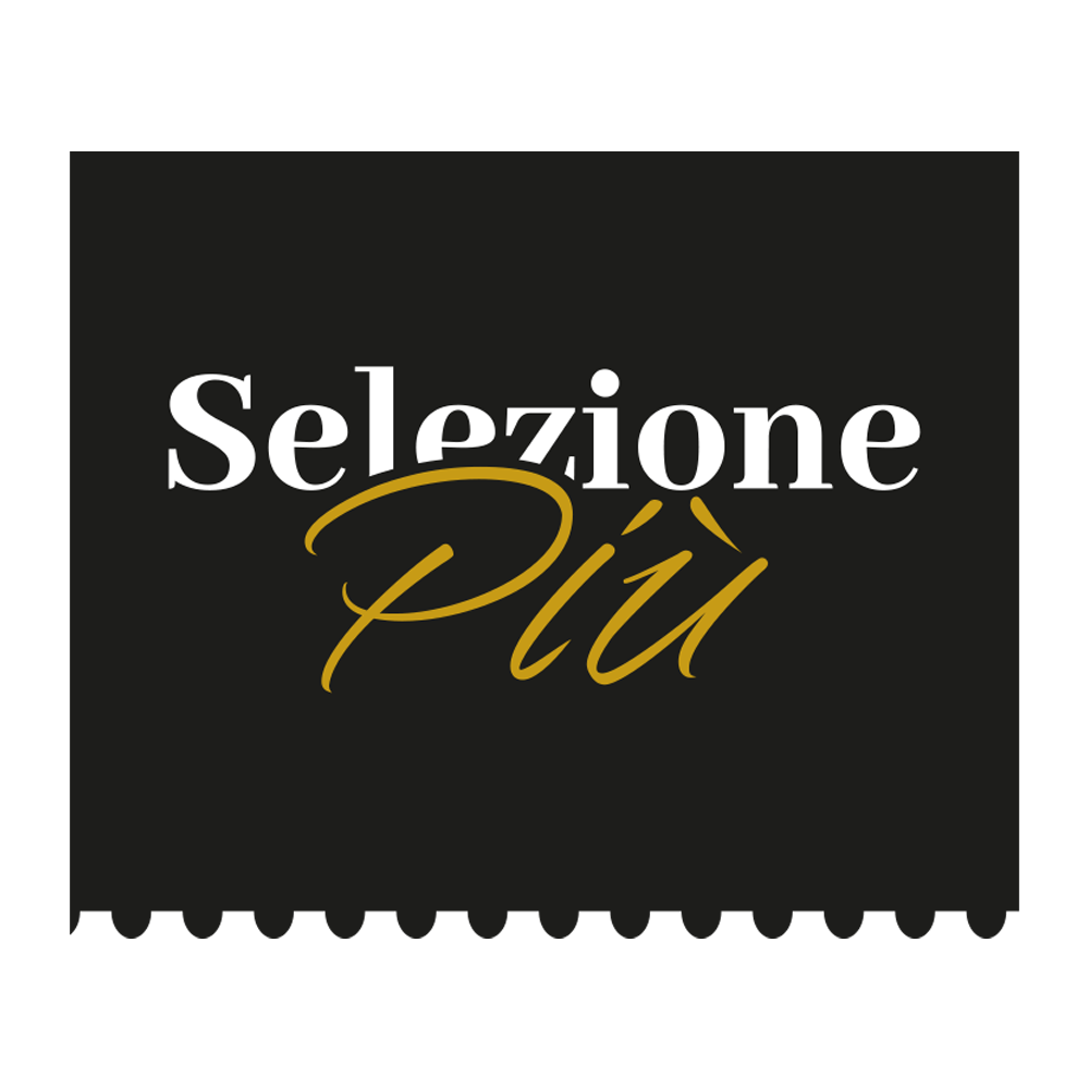logo selezione più 2026