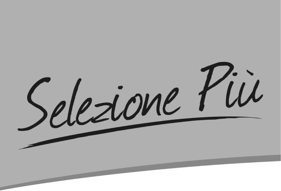 immagine logo selezione più