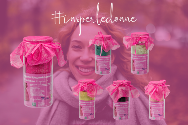 insdonne pashmina slider 1