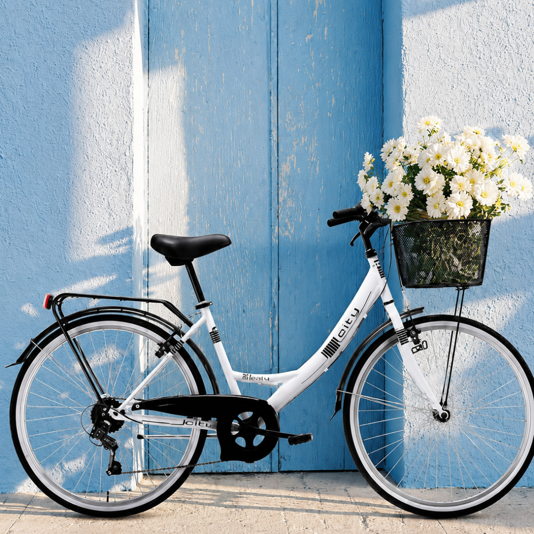 P&R bici
