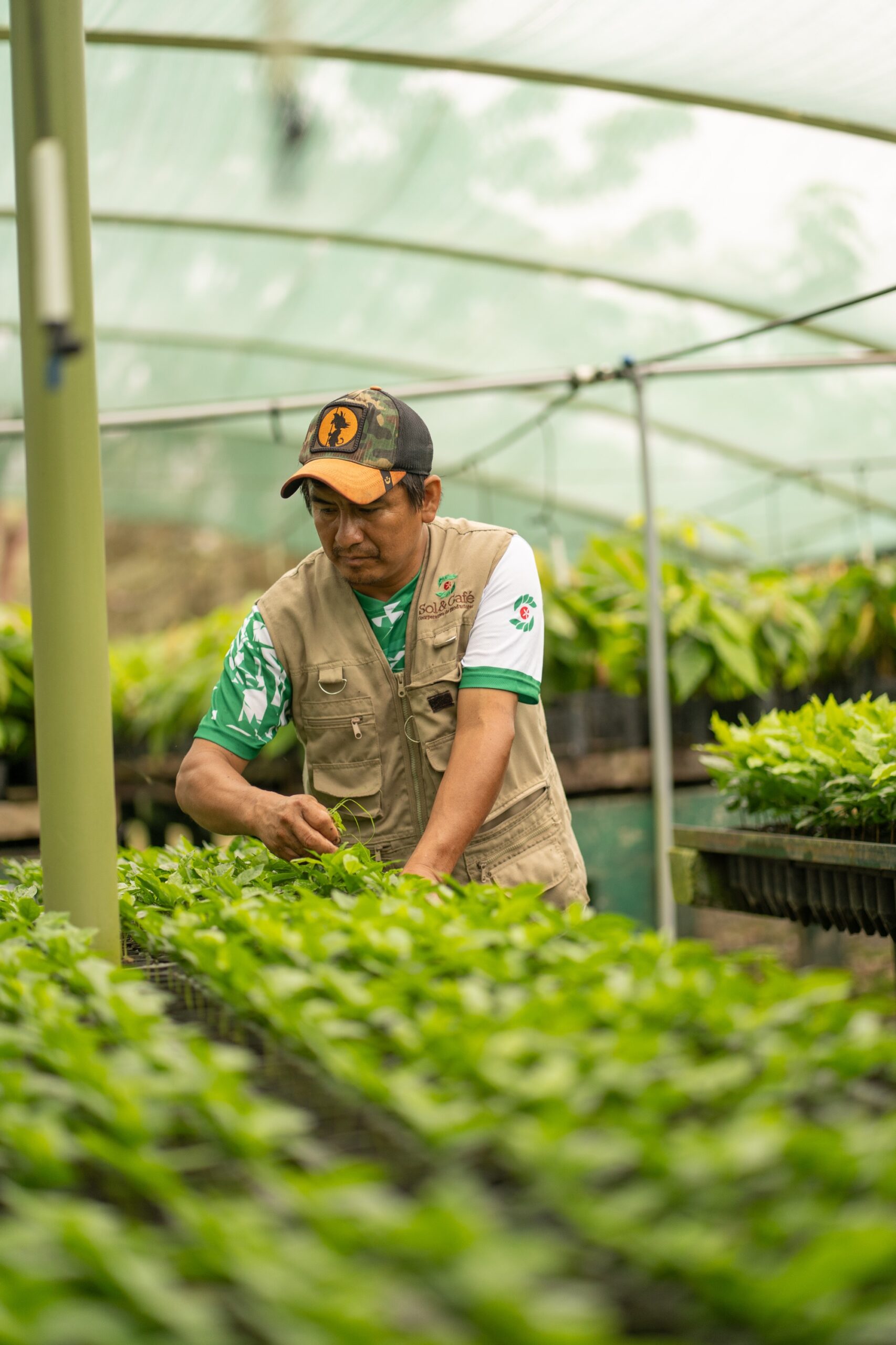 Settimana Fairtrade_Coffee Sol y Café Peru_1