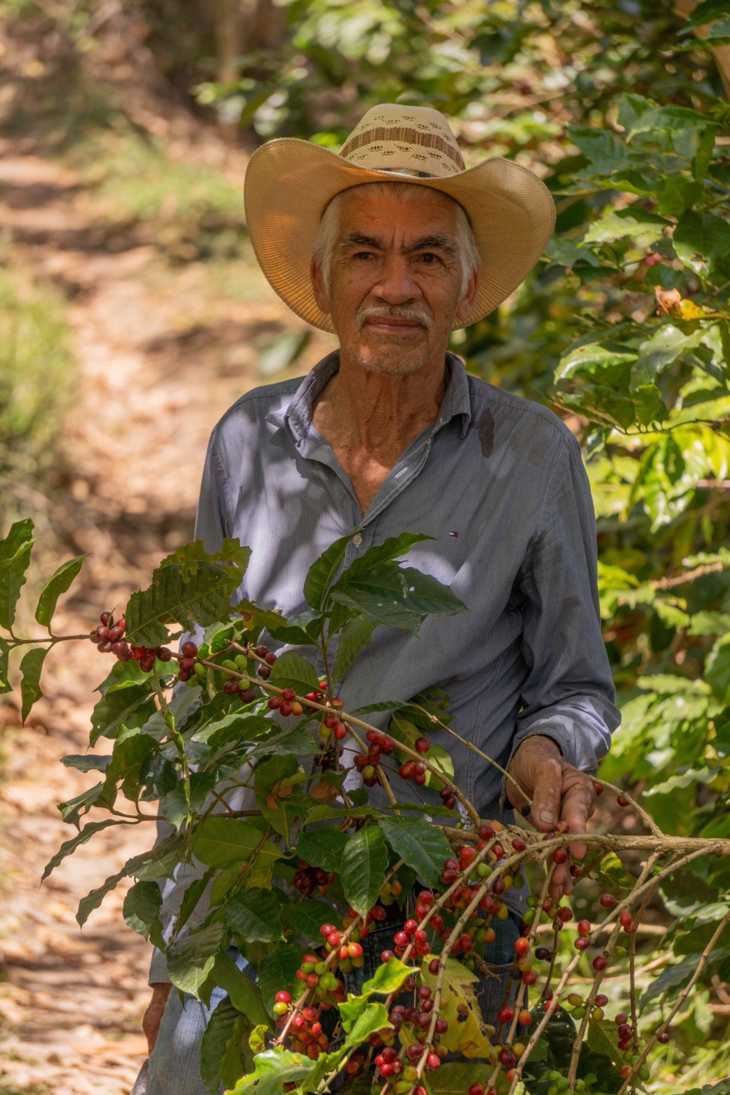 Settimana Fairtrade_Fieldtrip Coffee