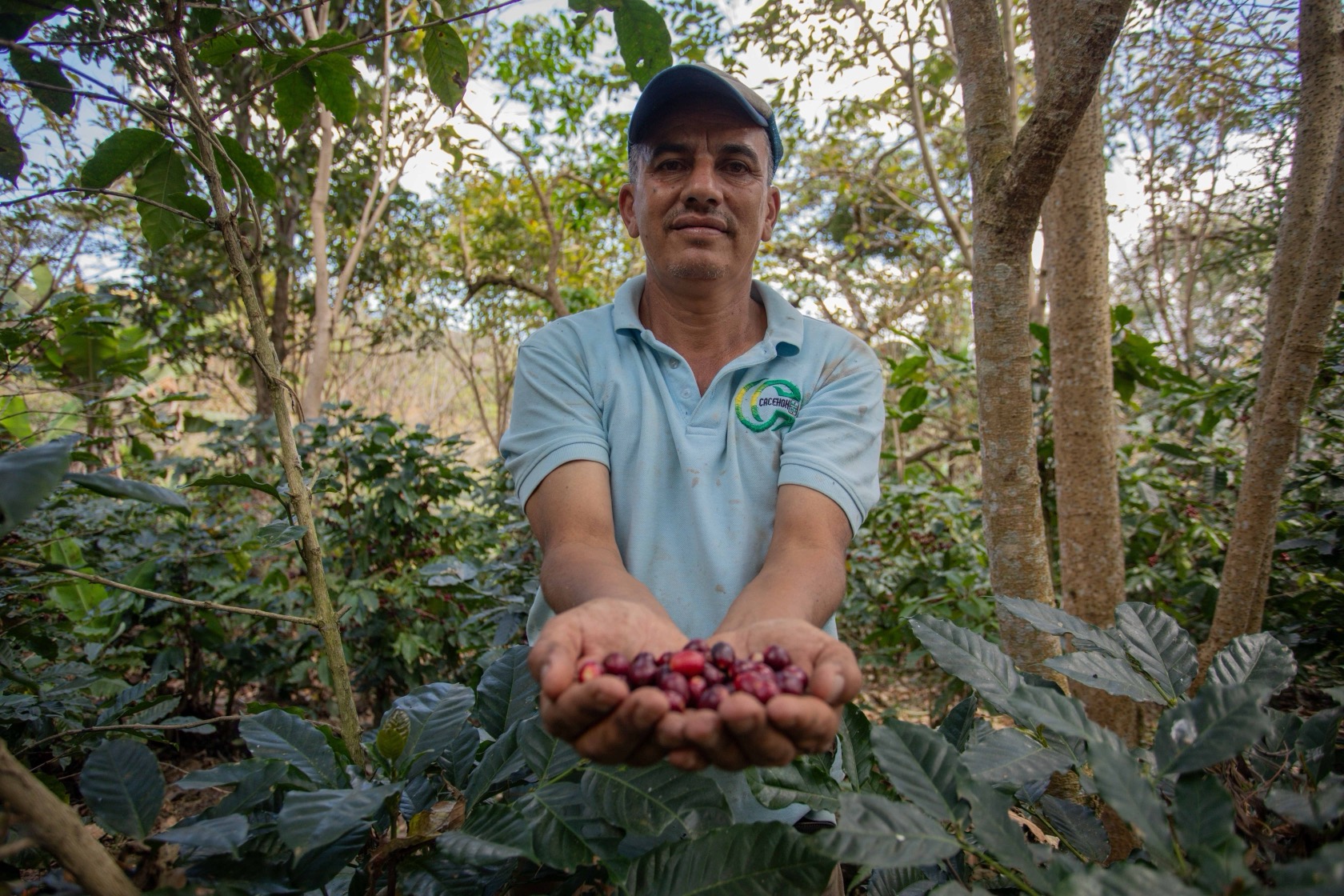 Settimana Fairtrade_Fieldtrip Coffee_dupe1