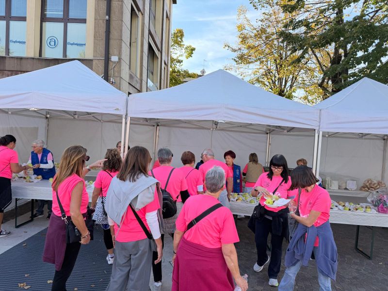 Autunno in Rosa 5